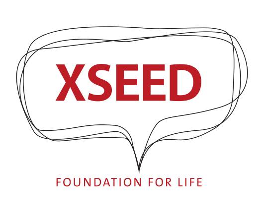 XSEED Education